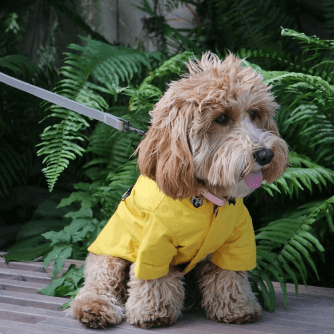 Yellow reflective 2025 rain jacket