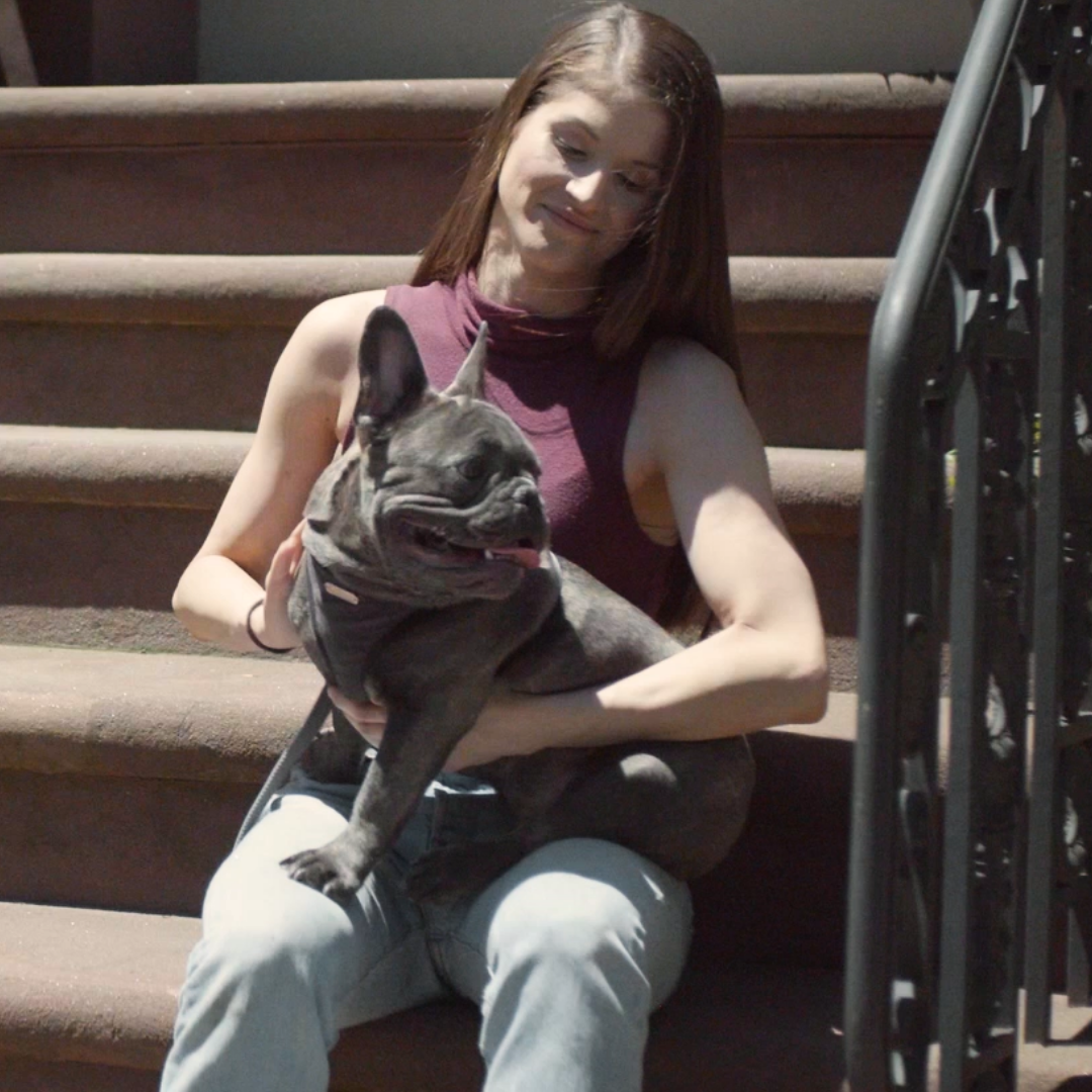 Thinking of Pet Insurance?