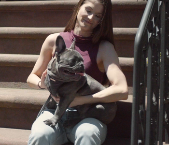 Thinking of Pet Insurance?