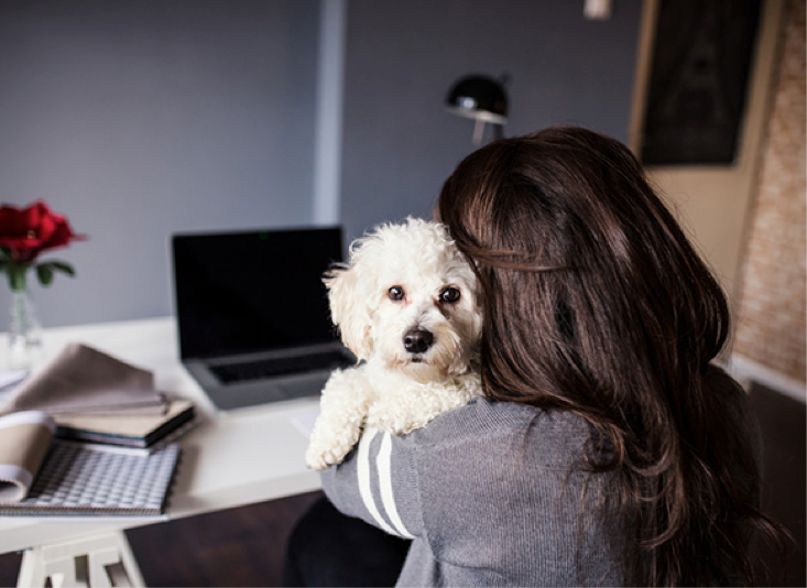 Thinking of Pet Insurance?