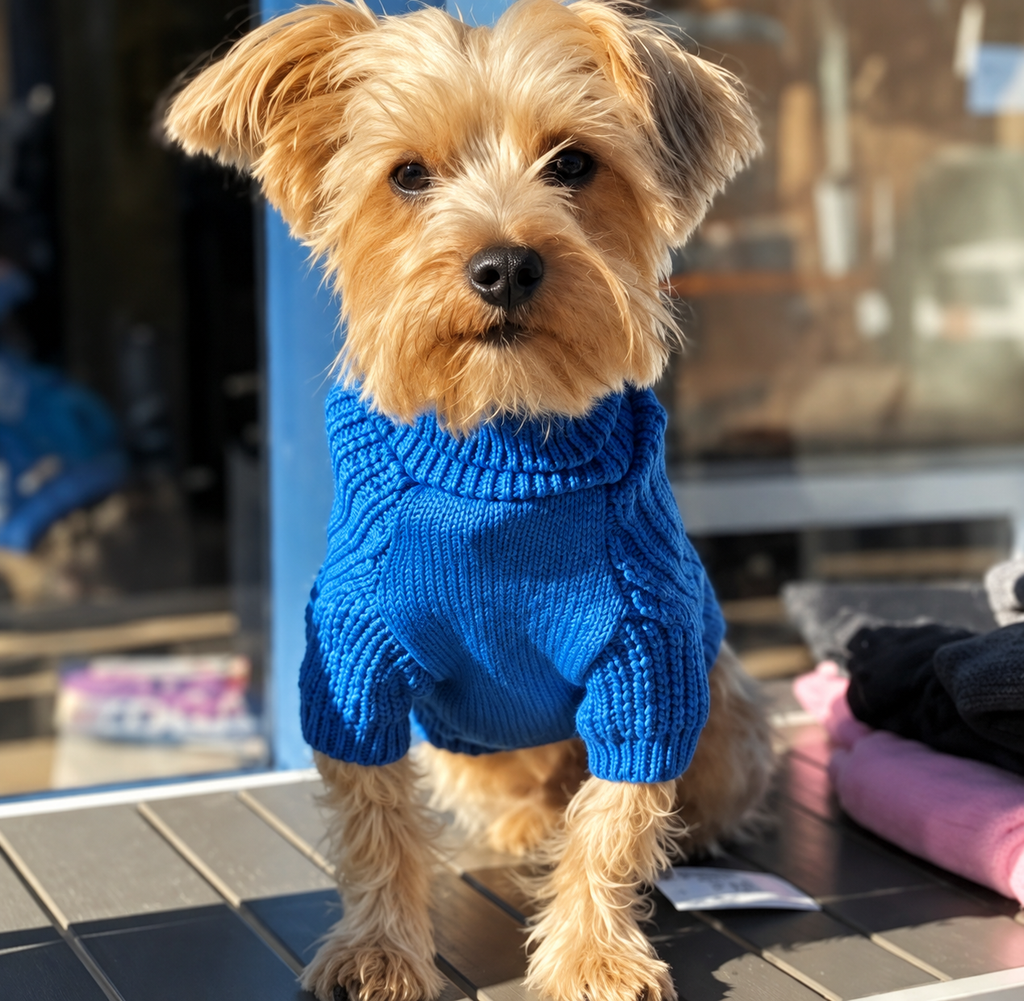 Mutt Turtleneck Sweater