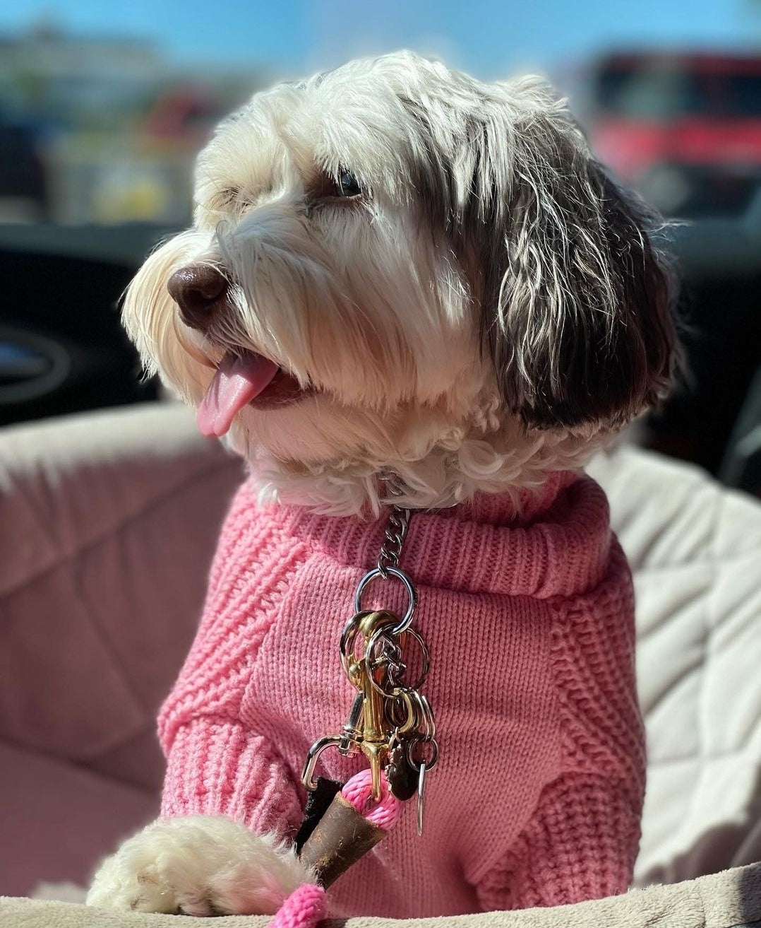 Dog turtleneck sweater top