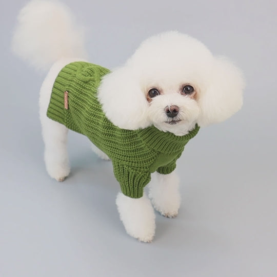 Mutt Turtleneck Sweater