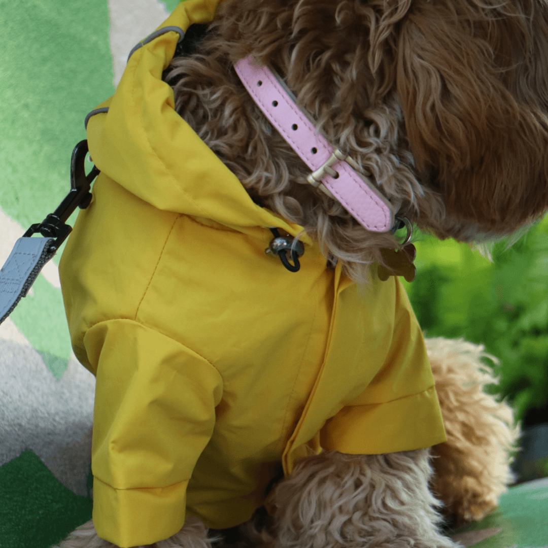 Reflective Rain Jacket