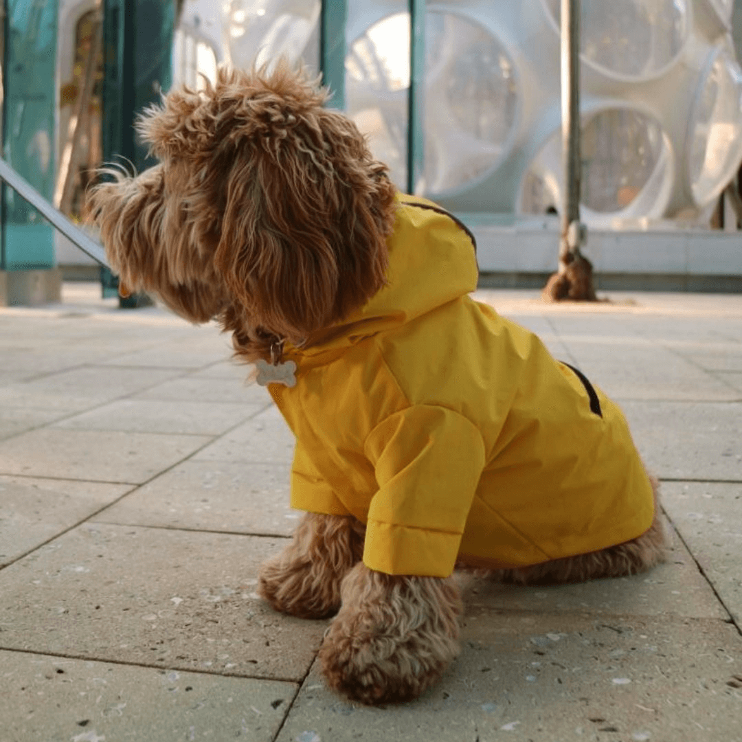 Yellow online raincoat uk