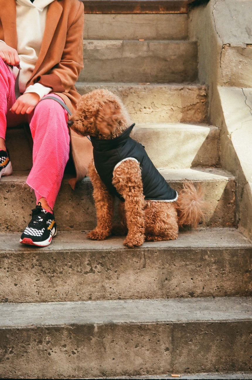 Mutt Turtleneck Sweater