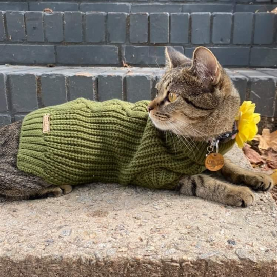 Cat Turtleneck Sweater