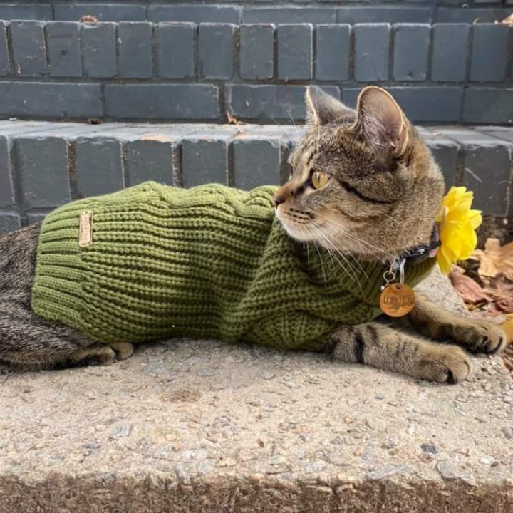Mutt Turtleneck Sweater