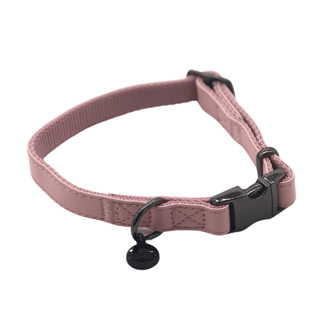 Kenmare Leather Collar