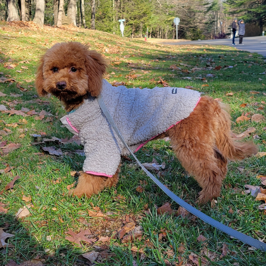 Furry zip-up sweater X Dolebean