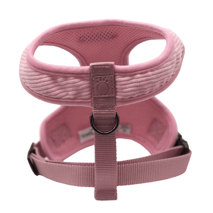 Bowery Harness