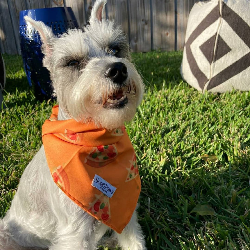 Doggy Bandana