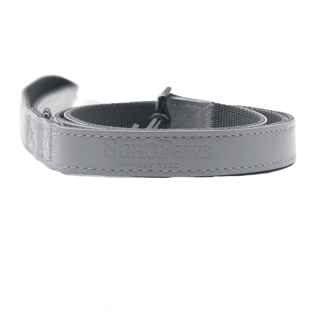 Houston Leash