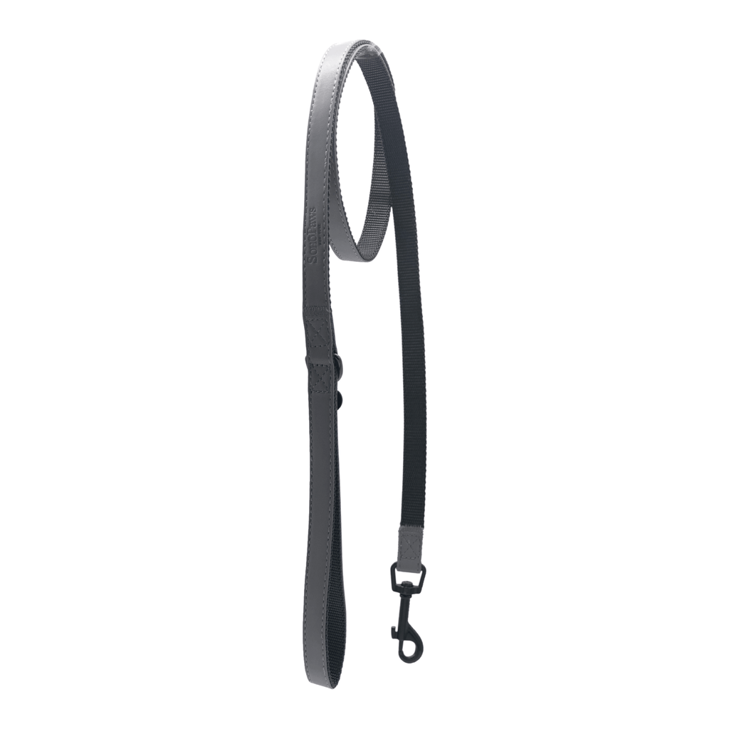 Houston Leash