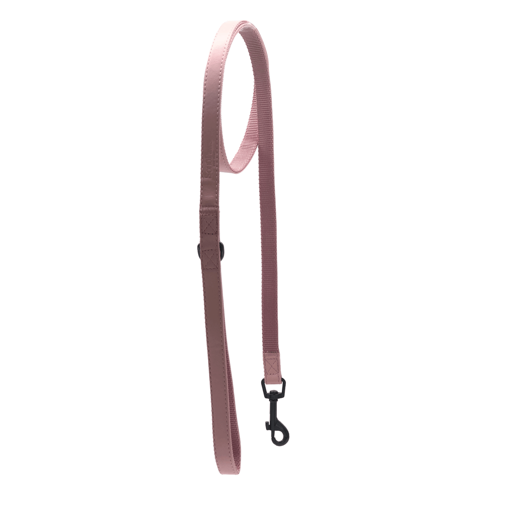 Houston Leash