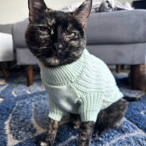 Cat Turtleneck Sweater