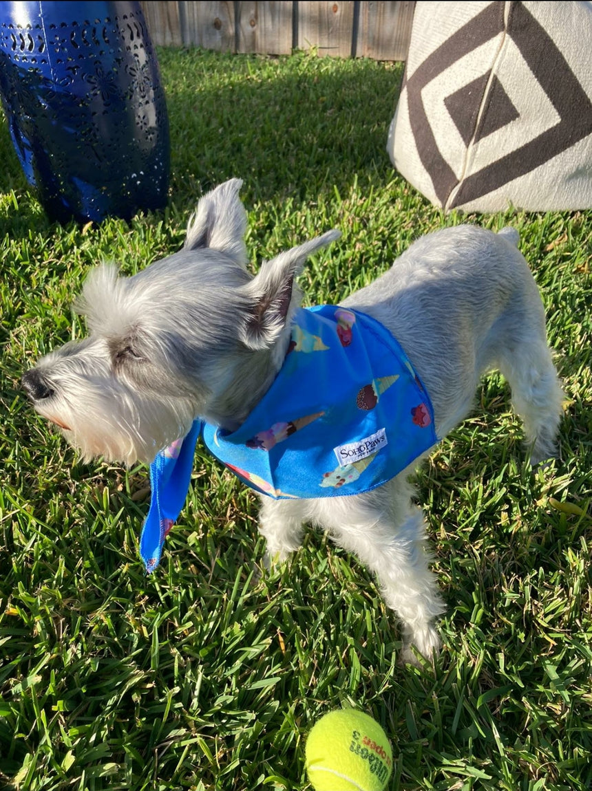 Doggy Bandana