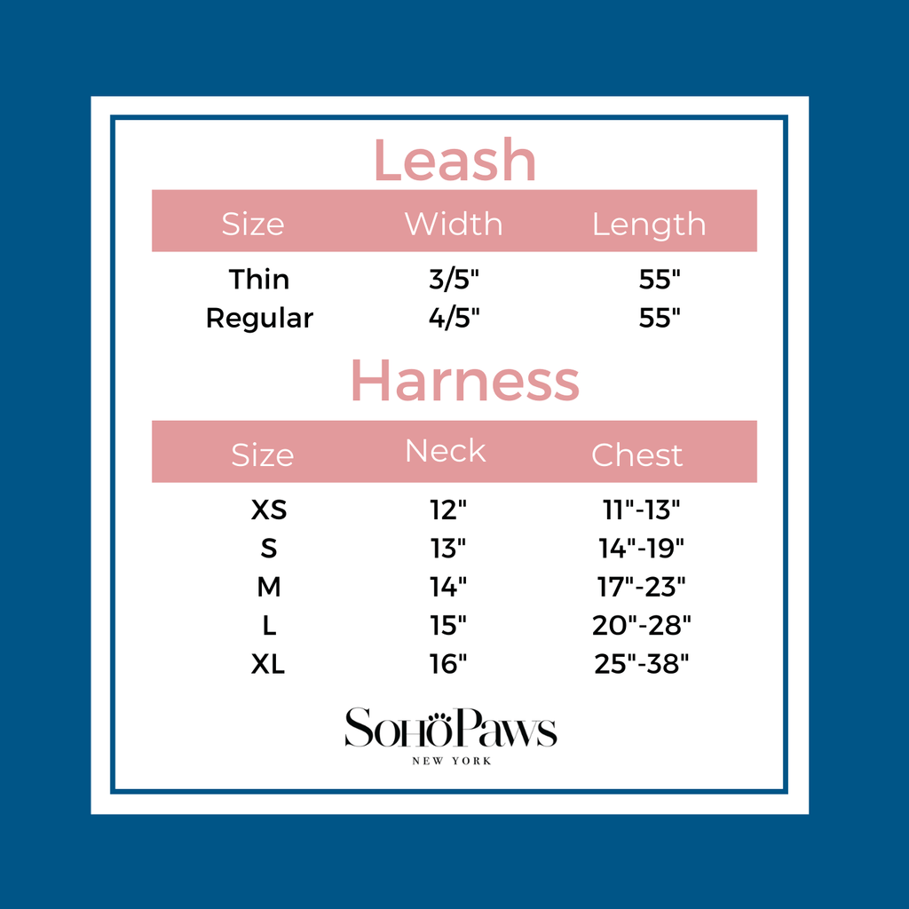 Harness Leash Easy Walk Duo