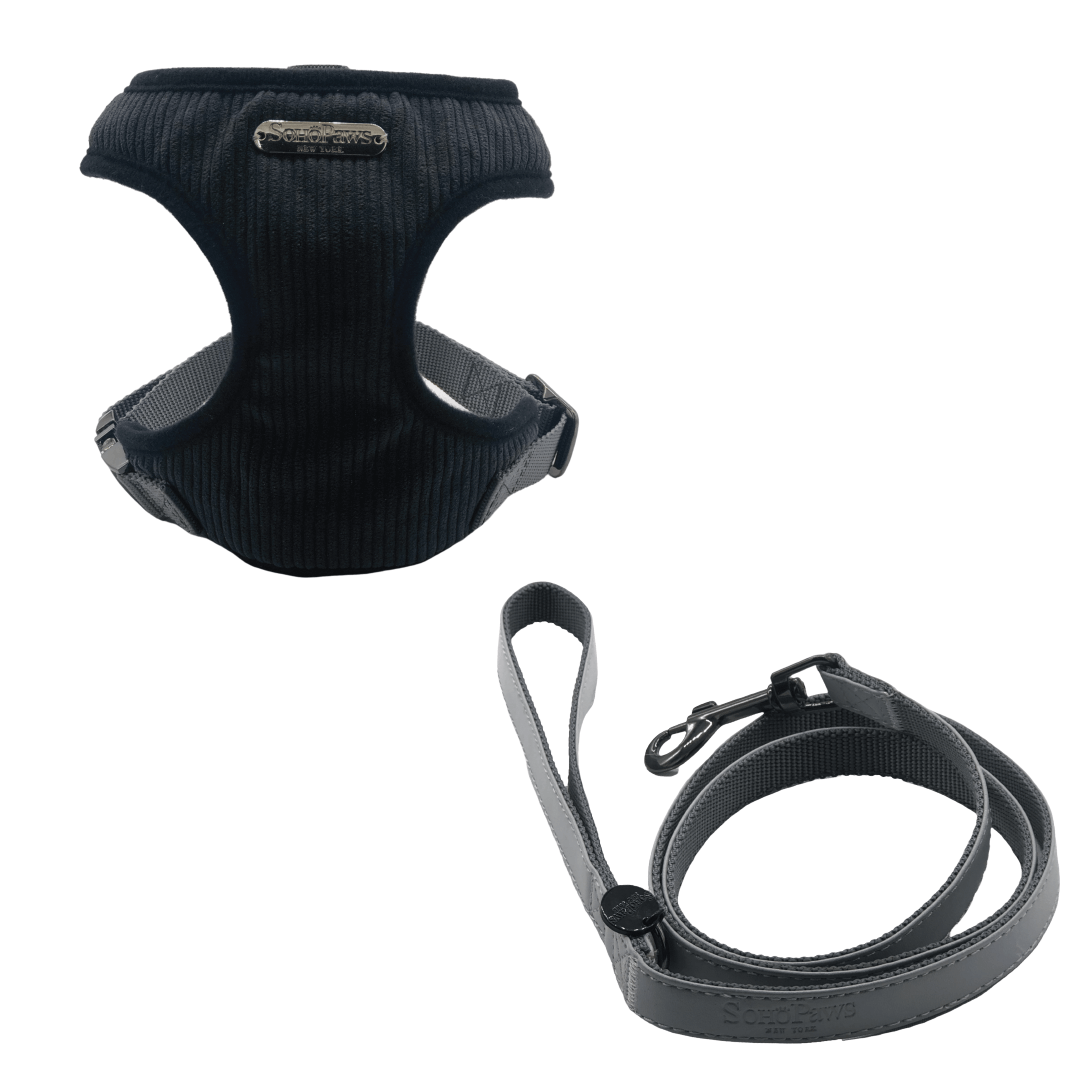 Harness Leash Easy Walk Duo