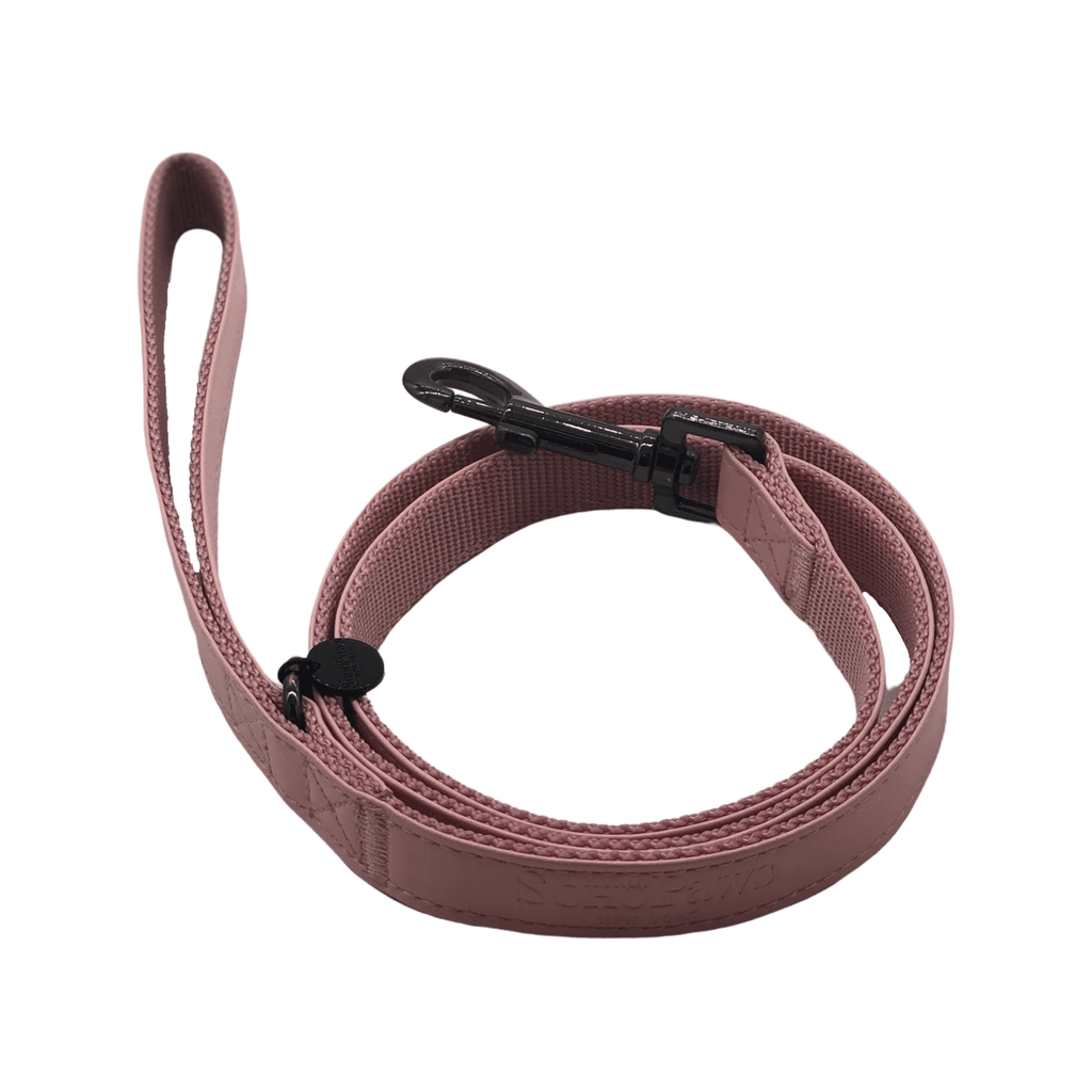 Houston Leash