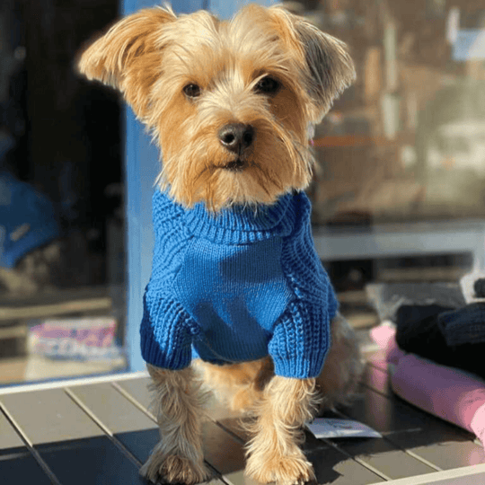 Mutt Turtleneck Sweater